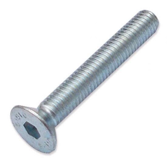 WP-SCW/52 M6 x 40mm countersunk socket machine screw HJ edge stops