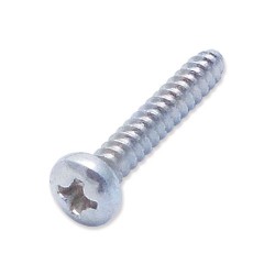 WP-T10/018 Screw self tapping dome 4mm x 25mm