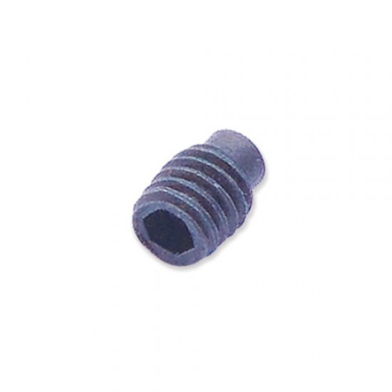 WP-T4/060A Grub screw M6 x 8mm T4